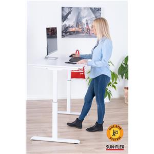 sun flex desk